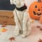 Glitzhome® 20.5" Lighted Halloween Skeleton Dog Porch Décor with Timer